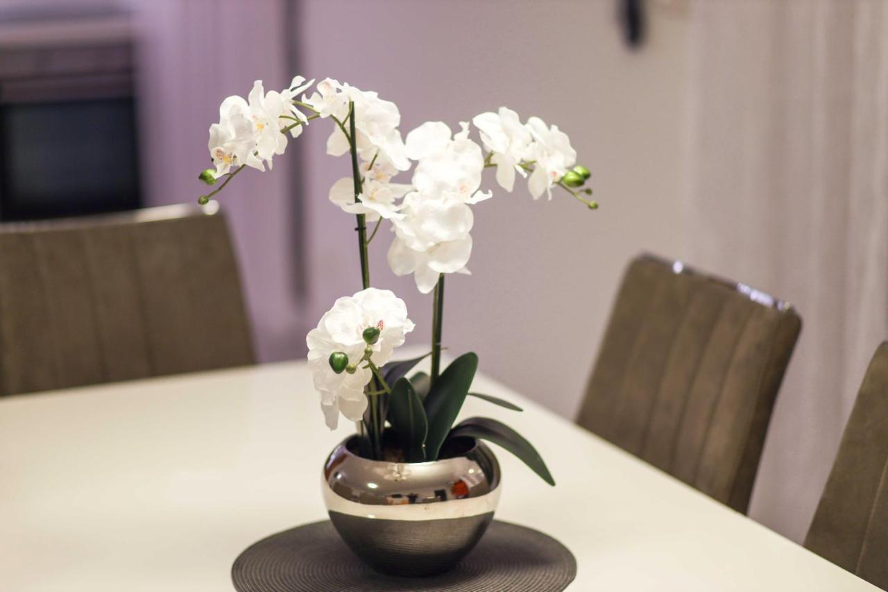 Castelli, 5 Stars Apartment